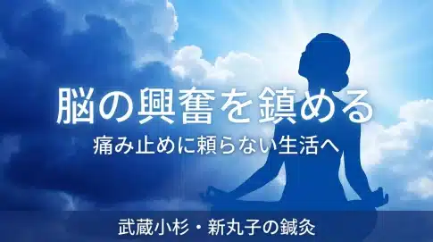 頭重・頭痛,「脳の興奮を鎮める」,痛み止めに頼らない生活へ,武蔵小杉・新丸子の鍼灸