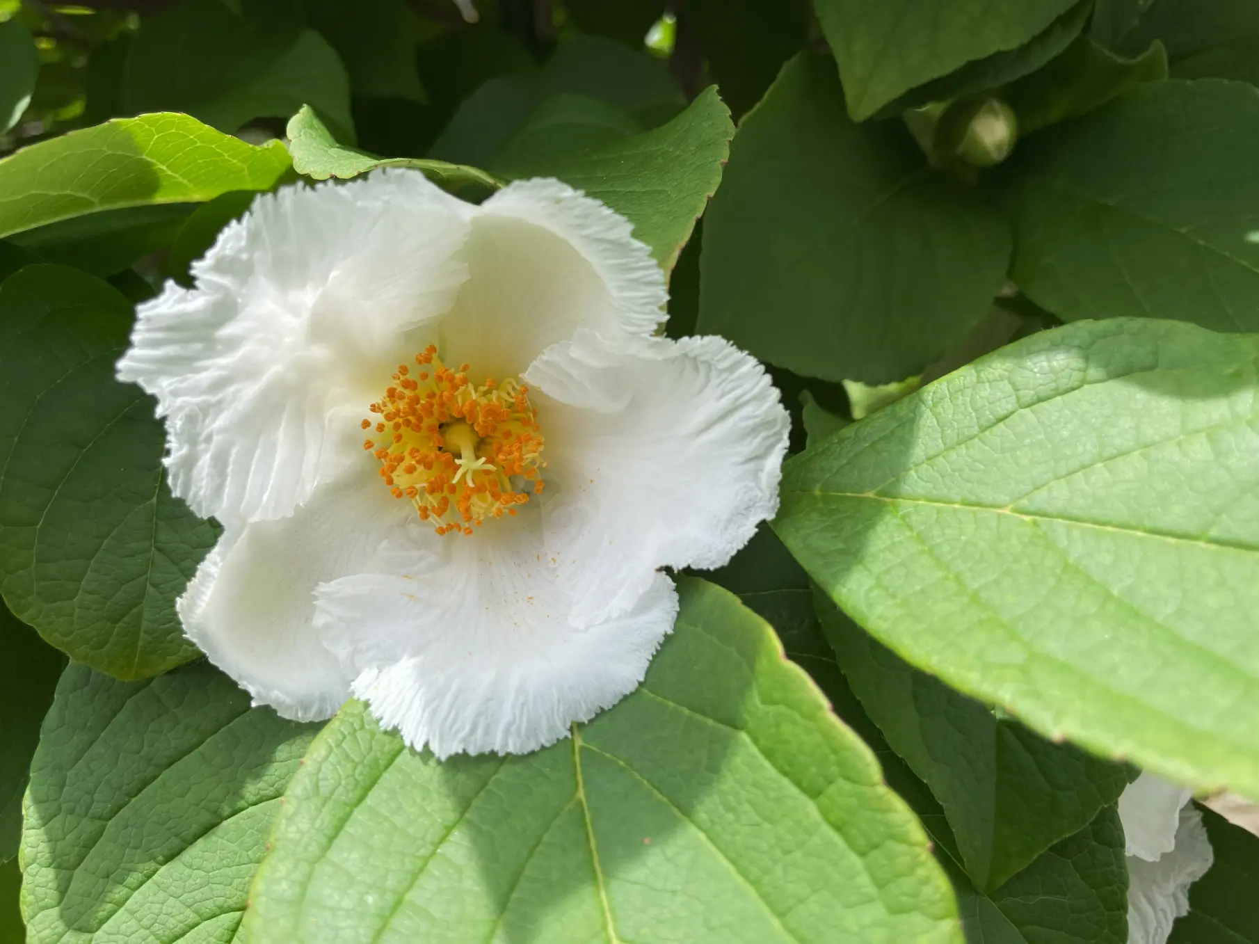 【痔の治し方】いぼ痔・切れ痔のつらい痛みに鍼灸が効果的|ツボと体質改善で再発を予防