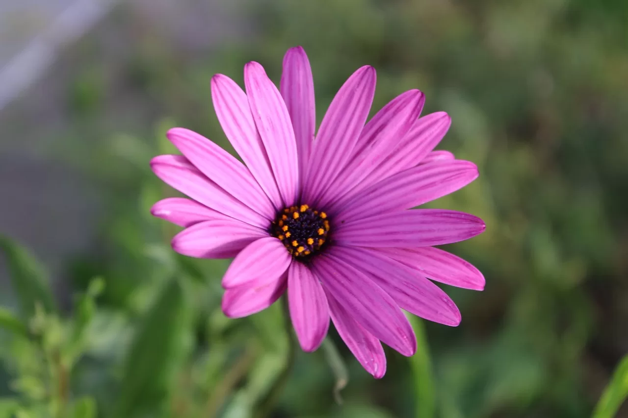 めまい・立ちくらみの原因と効果的なツボ・対処法