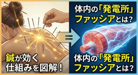 東洋医学と「気」~目に見えない力の正体とは~