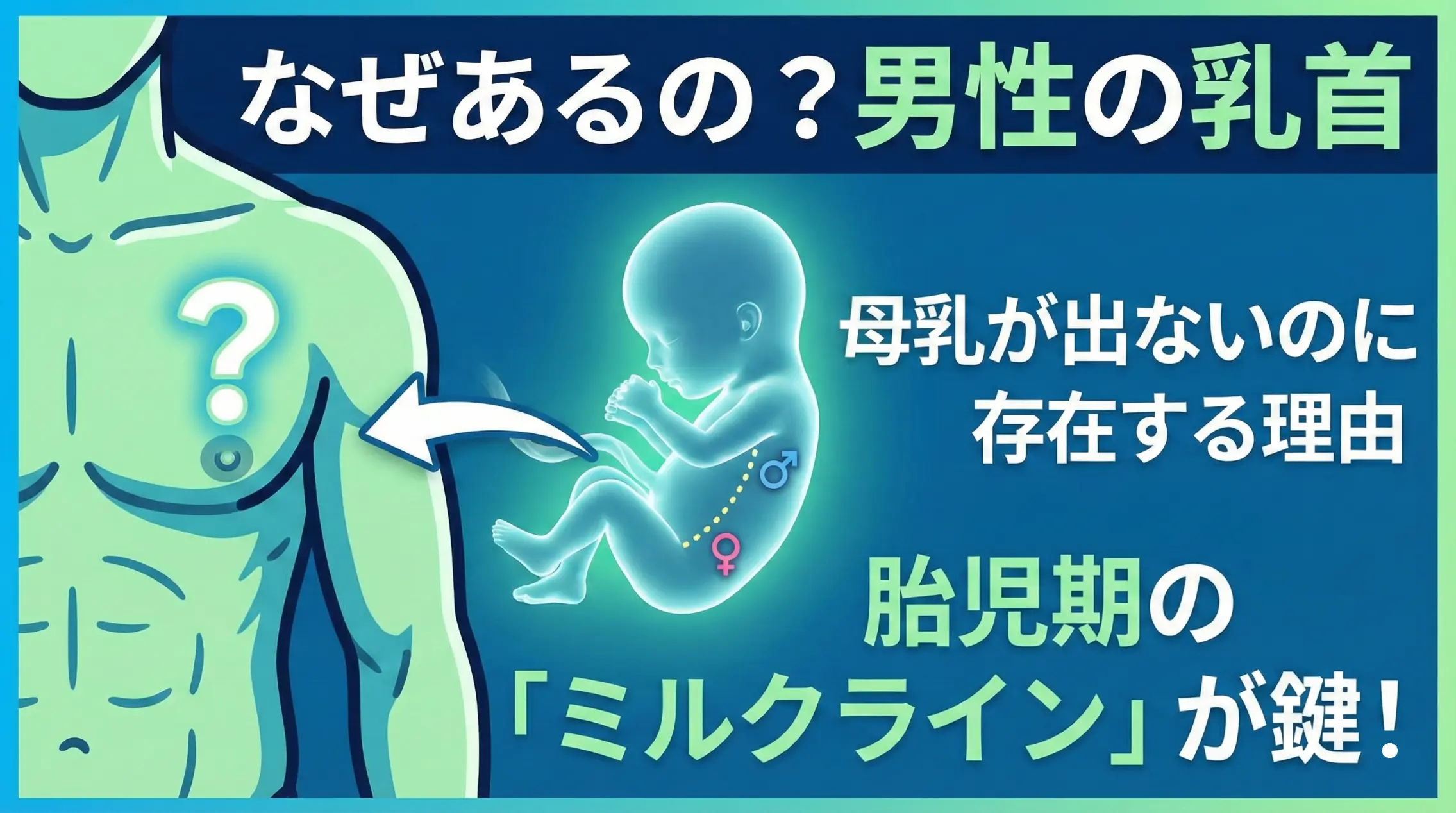 【人体の不思議】なぜ男性にも乳首があるのか?母乳が出ないのに存在する決定的な理由