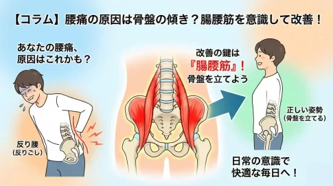 腰痛に悩むあなたへ…その痛み、「骨盤の傾き」が原因かも？日常の意識で改善を目指そう！