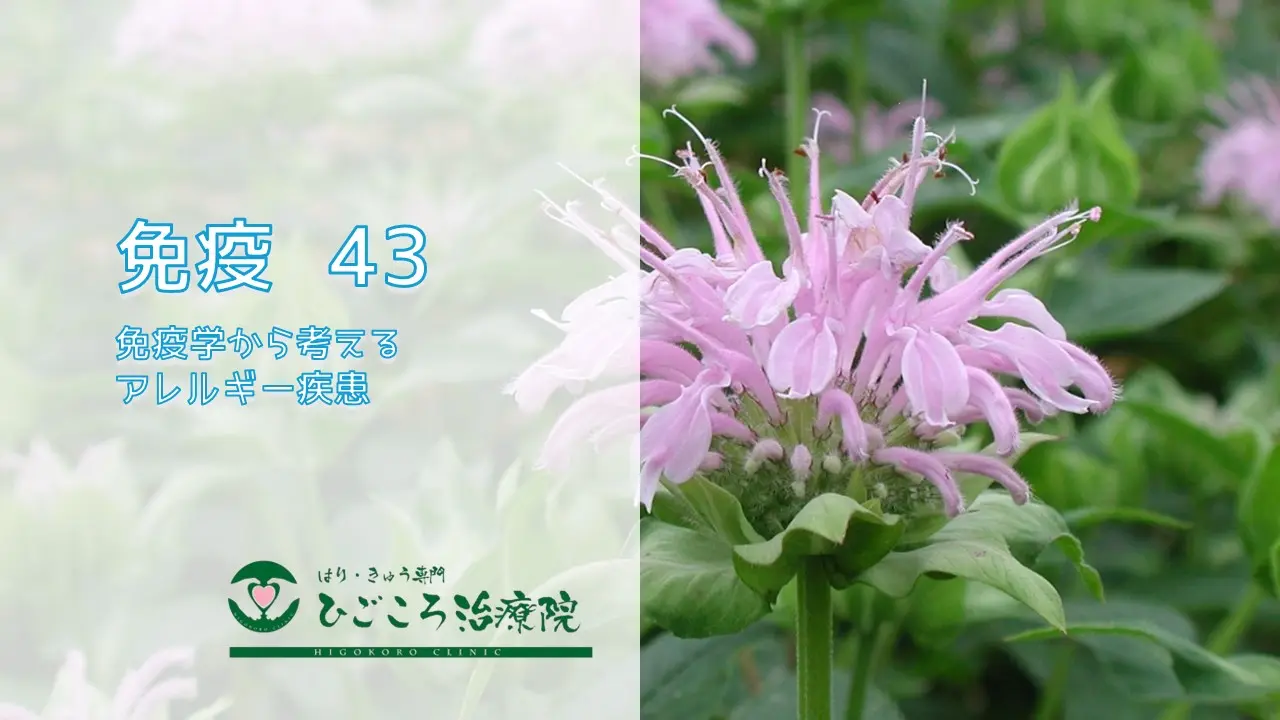 免疫 43 免疫学から考えるアレルギー疾患