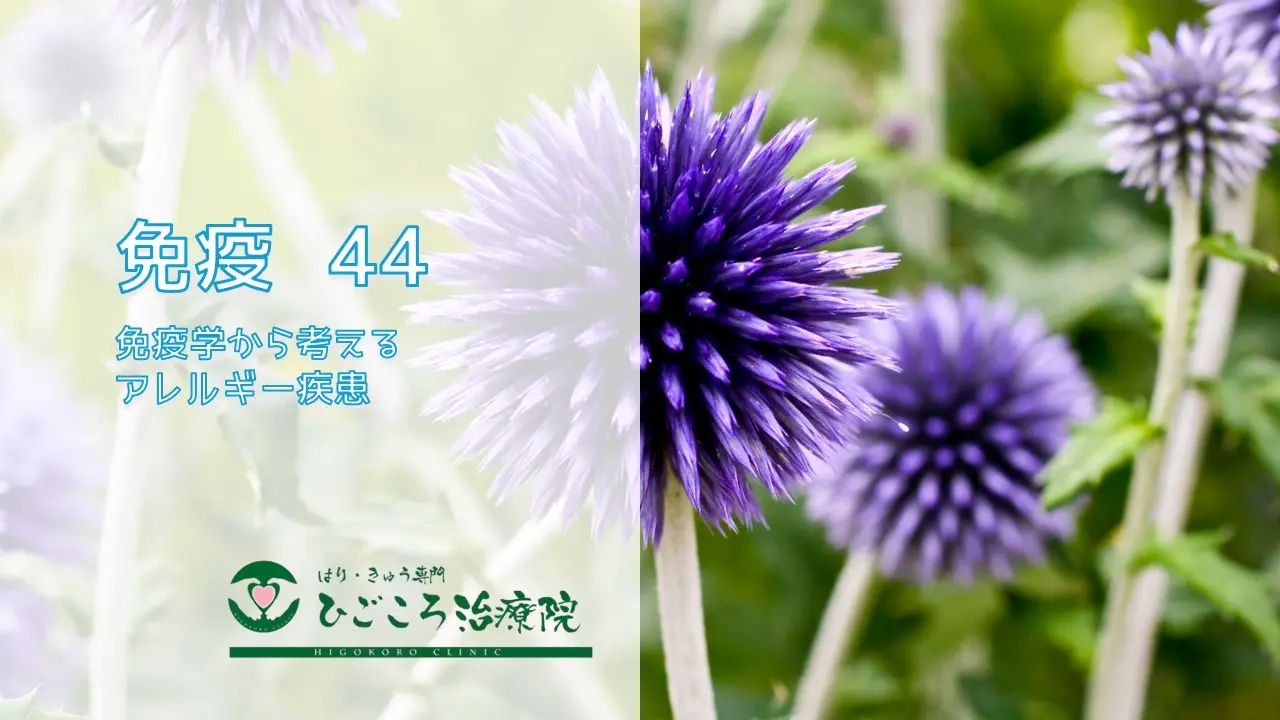 免疫 44 免疫学から考えるアレルギー疾患