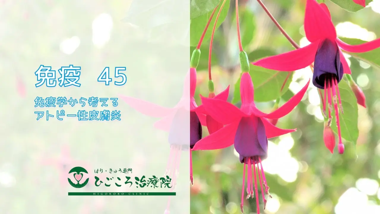 免疫 45 免疫学から考えるアトピー性皮膚炎