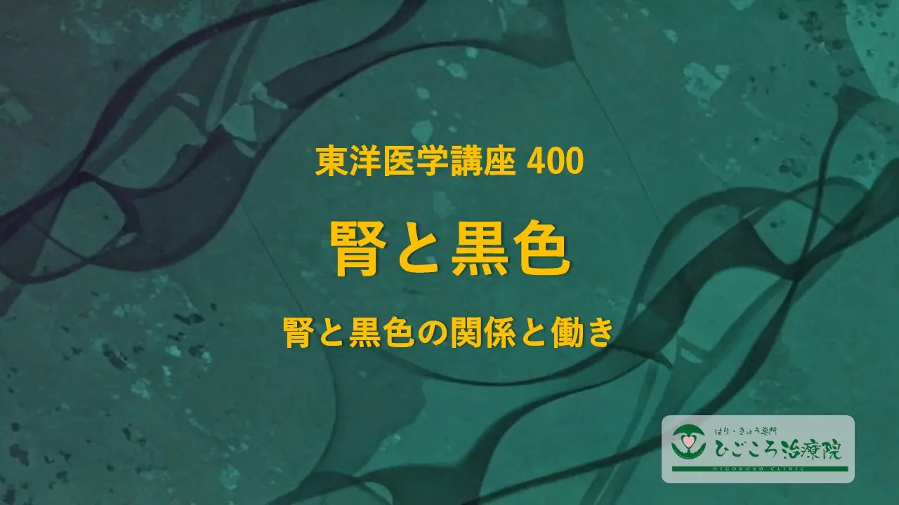 東洋医学講座 400 腎と黒色 腎と黒色の関係と働き