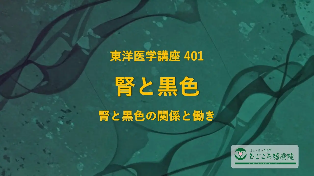 東洋医学講座 401 腎と黒色 腎と黒色の関係と働き