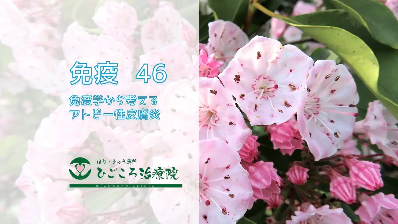 免疫 46 免疫学から考えるアトピー性皮膚炎