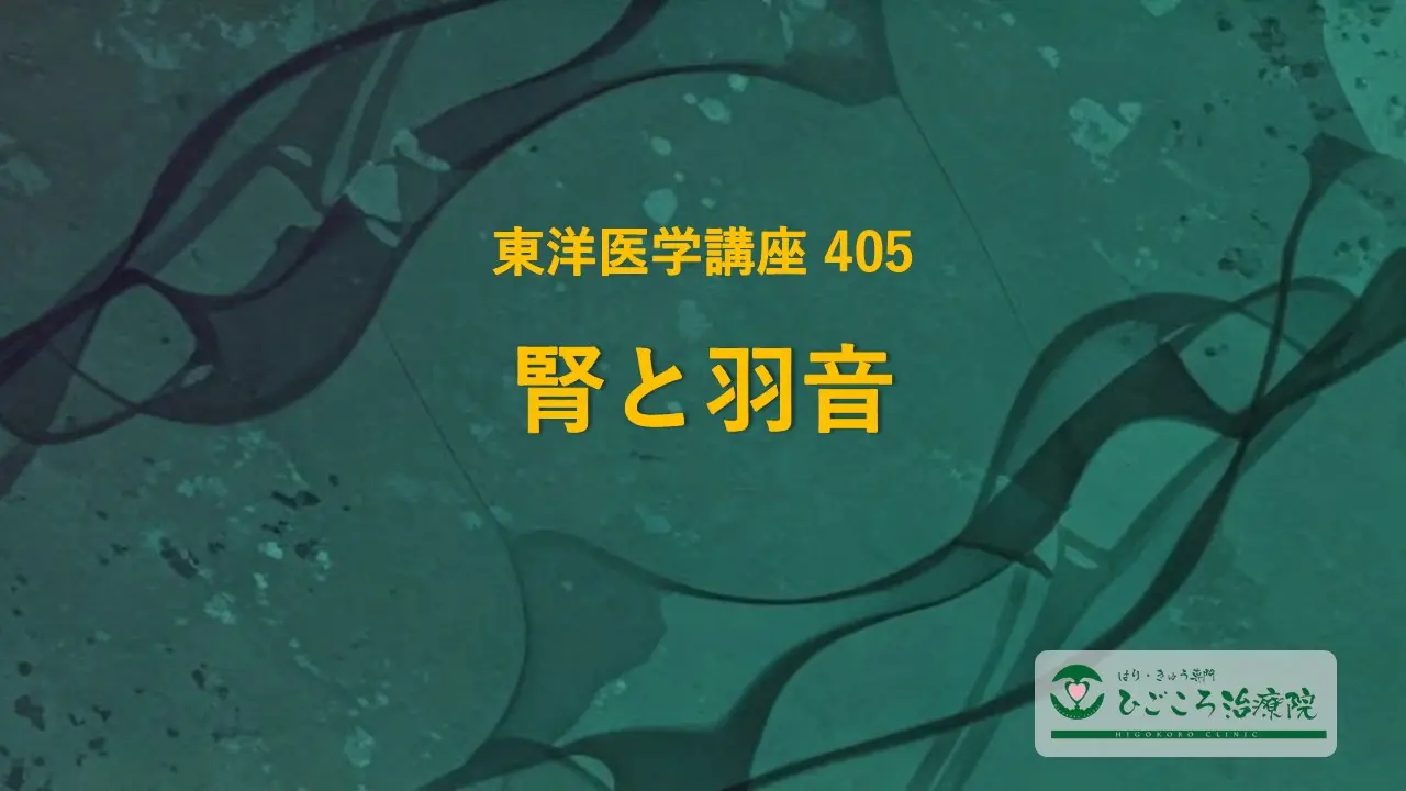 東洋医学講座 405 腎と羽音