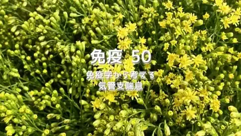 免疫 50 免疫学から考える気管支喘息