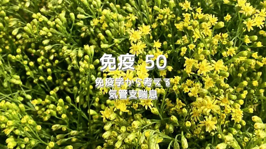 免疫 50 免疫学から考える気管支喘息