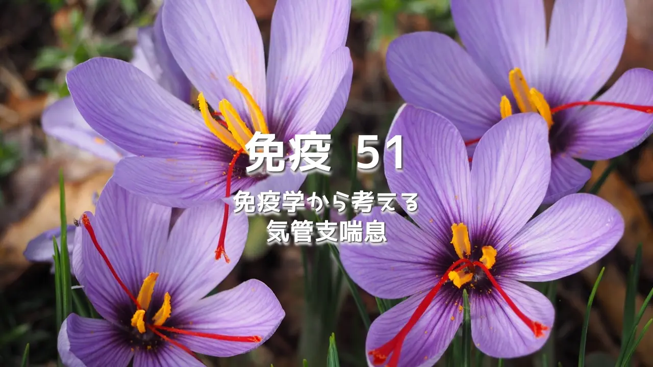 免疫 51 免疫学から考える気管支喘息