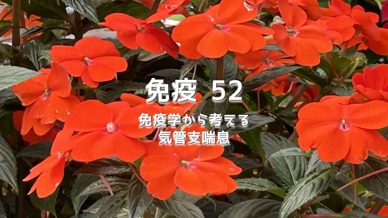 免疫 52 免疫学から考える気管支喘息