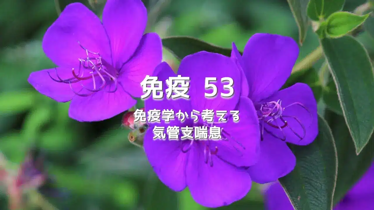 免疫 53 免疫学から考える気管支喘息