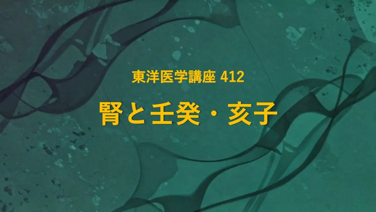 東洋医学講座 412 腎と壬癸・亥子