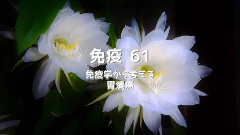 胃潰瘍「酸消化説」が生まれた謎 - 痛みと治癒反応の誤解