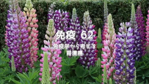 胃潰瘍治療の歴史　酸消化説とH₂ブロッカーの裏に隠された真実