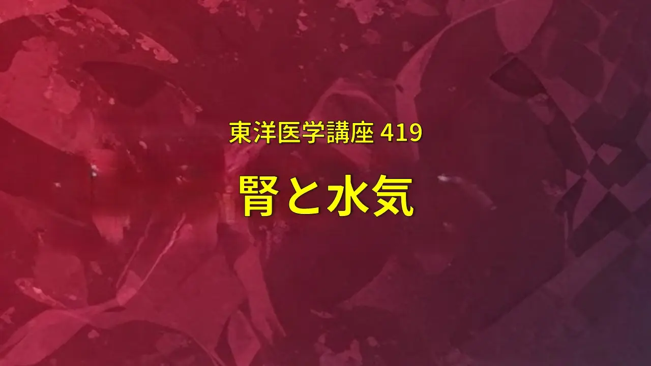 東洋医学講座419「腎と水気」のサムネイル画像
