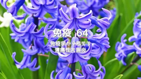 潰瘍性大腸炎が増え続ける理由:薬が招く「顆粒球の暴走」と悪化の連鎖