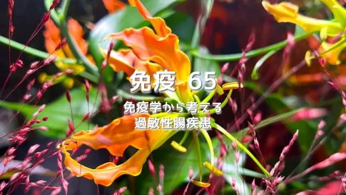 免疫学から考える過敏性腸疾患