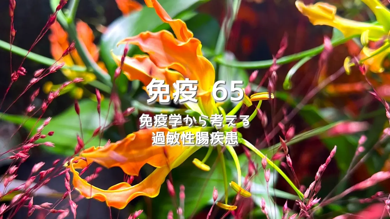 免疫学から考える過敏性腸疾患