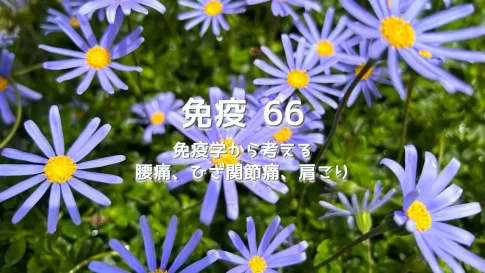 腰痛・ひざ痛が治らないのは「痛み止め」のせい?湿布が招く血流障害と顆粒球の暴走