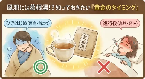 風邪に葛根湯が効かない？鍵は「タイミング」本当の効果と使いどき