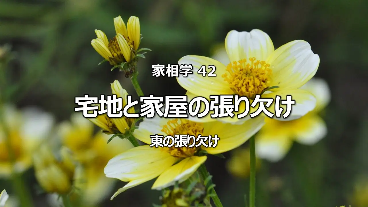 家相「東の張り」は吉相?凶相?長男の運気を左右する張り・欠け判断基準