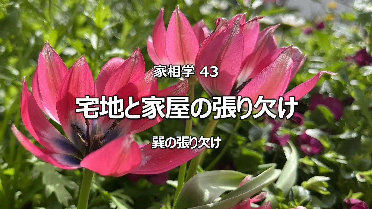 家相「巽(東南)の張り」は信用と繁栄の吉相!ただし張り過ぎと欠けには要注意