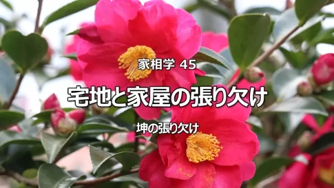 家相学 45 宅地と家屋の張り欠け 坤(西南)の張り欠け
