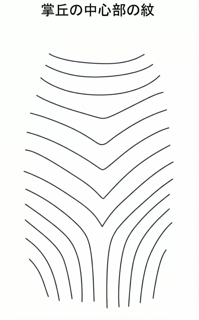 掌丘の中心部の紋の図