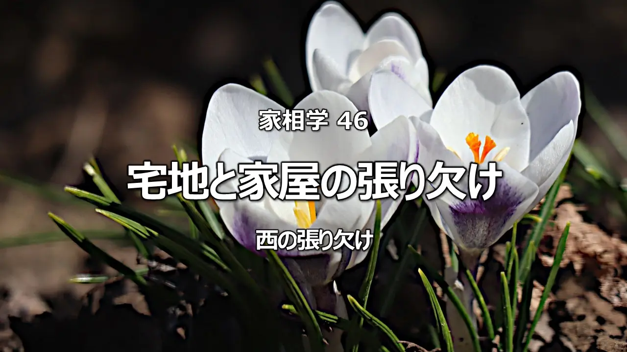 宅地と家屋の張り欠け 西の張り欠け