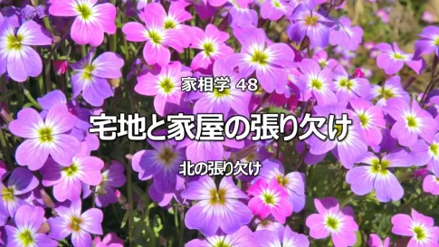 家相「北の張り」は富と繁栄の大吉相!しかし張り過ぎと欠けは貧窮と病を招く危険なサイン