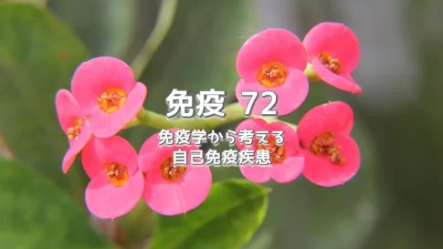 免疫 72 免疫学から考える自己免疫疾患