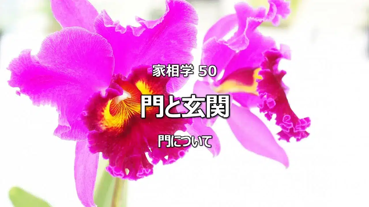 家相学における「門」の重要性！玄関との吉相配置と適切な大きさを解説