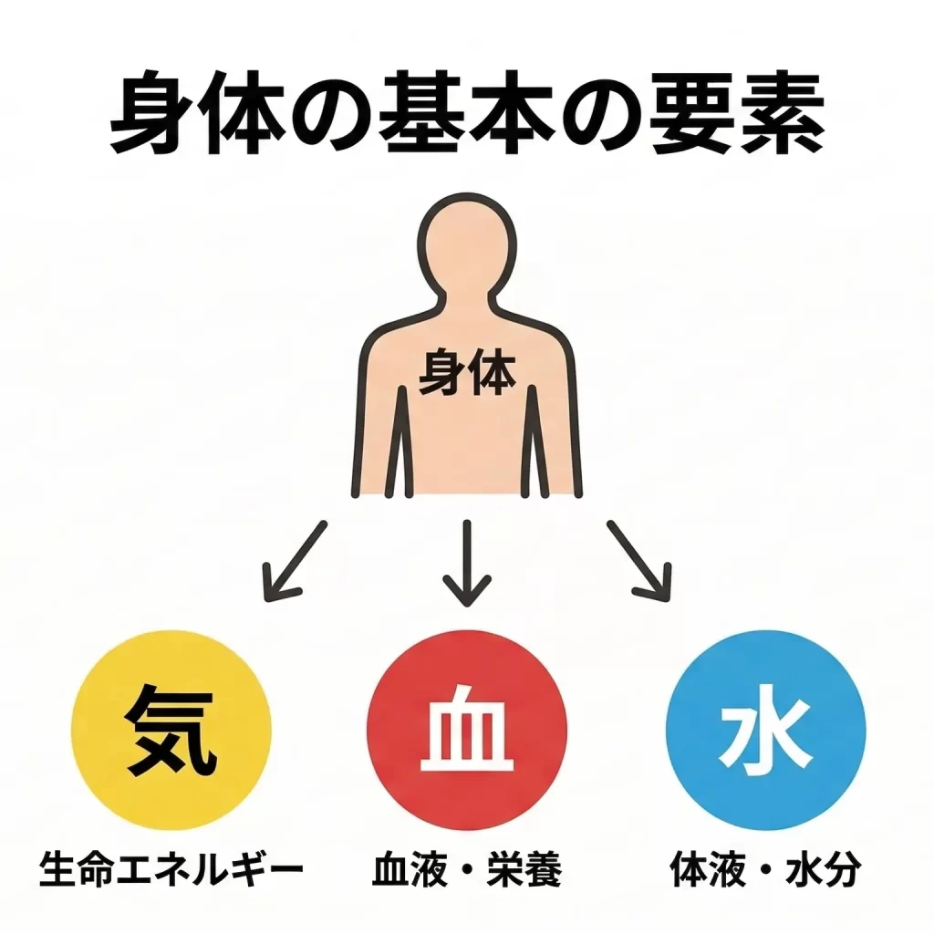 東洋医学の体質を説明する気・血・水の関係図|体のエネルギーバランス