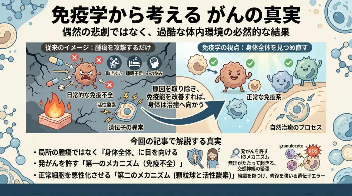 「免疫学から考える がんの真実」：従来のイメージ（原因：免疫不全）から免疫学の視点（治癒：自然治癒）への移行を示すインフォグラフィック。